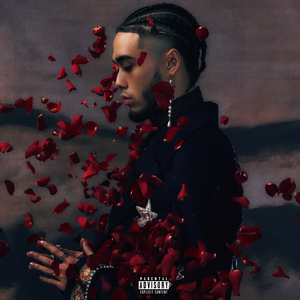 骑女马四肢着地爬行
