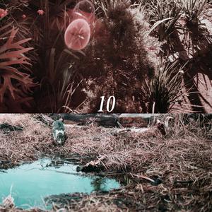 ass日本青少年肉体pice
