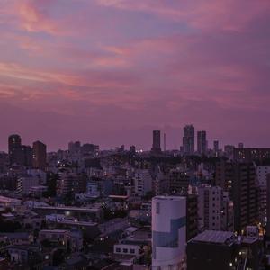 欧美一级AA片自慰喷水
