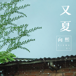 欧美人妖老妇❌❌❌
