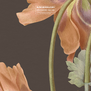 FreeHD18❌❌❌性4tB
