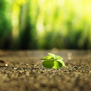 上课太硬女同桌帮我自慰
