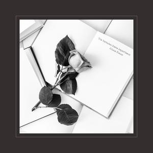 骑女马四肢着地爬行
