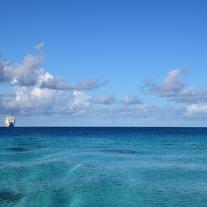 目黑惠AV在线播放免费
